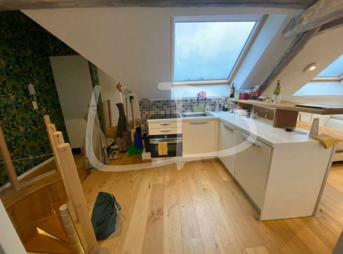 WhatsApp Image 2023-04-27 at 10.07.44 (3).jpeg